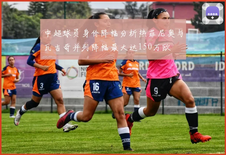 中超球员身价降幅分析热菲尼奥与瓦吉奇并列降幅最大达150万欧
